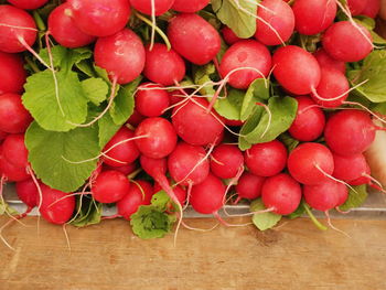 High angle view of radishes for sale at market