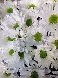 Full frame shot of white flowers