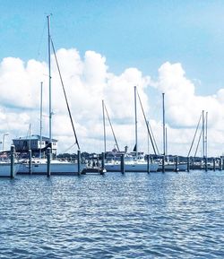 Sailboats in marina