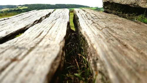 Close-up of wooden surface