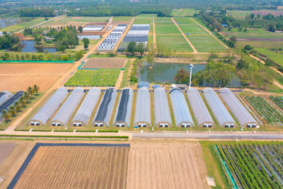 High angle view of agricultural field