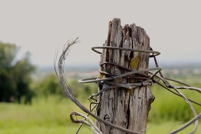 Close-up of barbed wire fence on field against sky