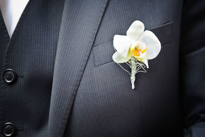 Close-up of white flower in blurred motion