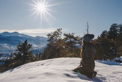 Rear view of person on snowcapped mountain against sky during winter