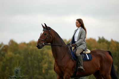 Horse standing on field