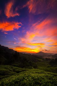 Scenic view of landscape against sky during sunset