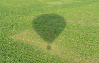 Shadow of hot air balloon on field