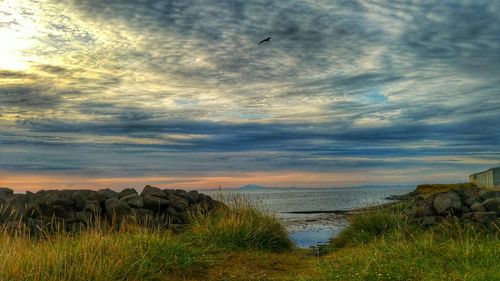 Scenic view of sea during sunset