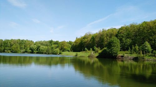 Scenic view of lake in forest against sky