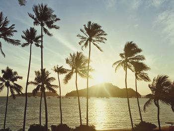 Silhouette palm trees by sea against sky during sunset