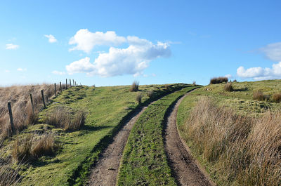 Scenic view of agricultural field against sky