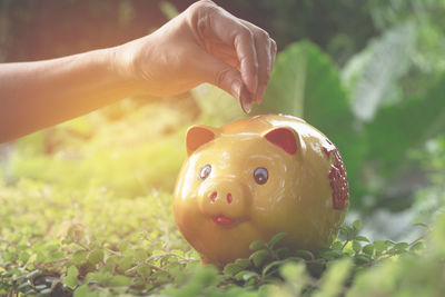 Cropped hand of woman putting coin yellow piggy bank on field