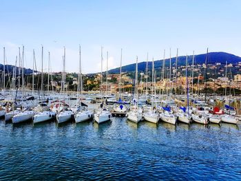 Sailboats moored in marina