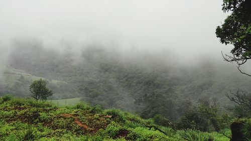 Scenic view of landscape against sky during foggy weather