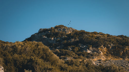 nature