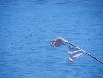 The banner was blown by the wind, by the river.