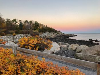 Scenic view of sea against orange sky