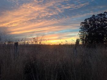 Scenic view of landscape at sunset