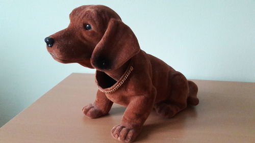 Close-up of dog