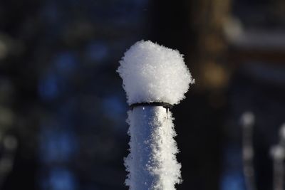 Close-up of snow against sky