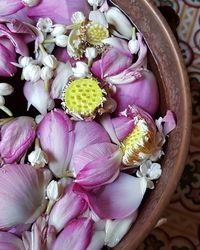 High angle view of pink roses on plant for sale