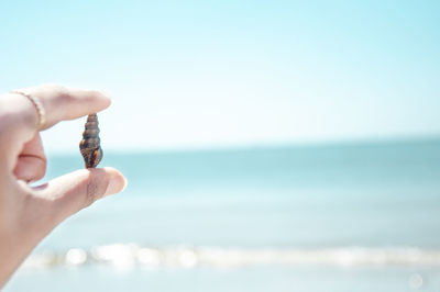 Cropped hand of person holding seashell at beach against sky