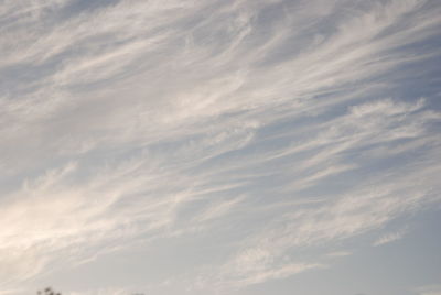 Low angle view of sky