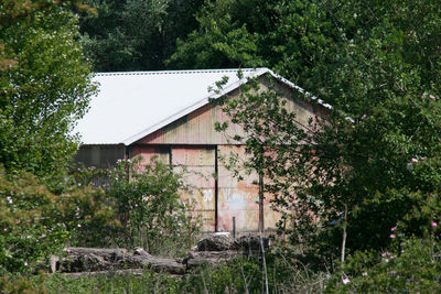 Abandoned house by trees on field