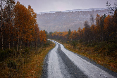 Road amidst trees during autumn