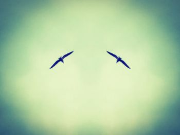 Low angle view of birds flying in sky