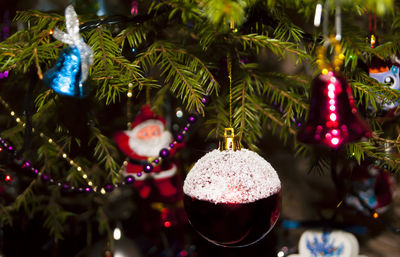 Close-up of christmas decorations hanging on tree