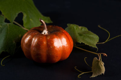 Close-up of tomato