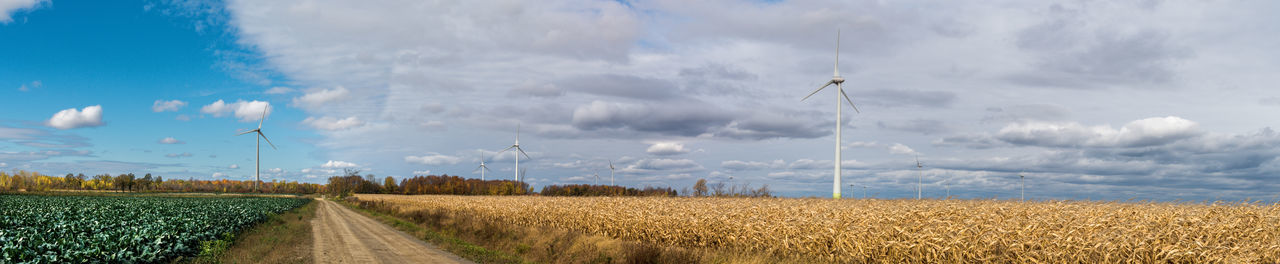 Panoramic view of agricultural field against sky