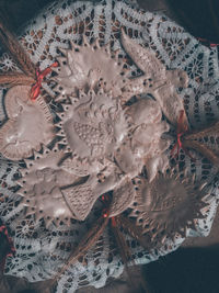 High angle view of animal on table