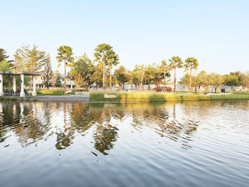 Reflection of palm trees in lake against clear sky