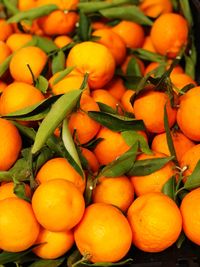 Full frame shot of oranges in market