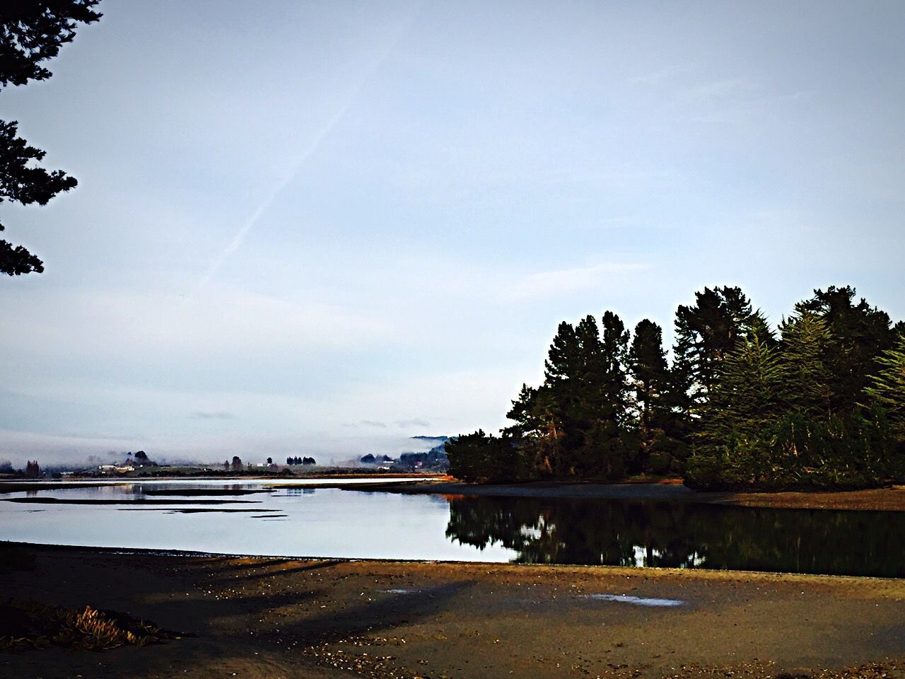 tree, water, sky, tranquil scene, tranquility, nature, scenics, beauty in nature, beach, incidental people, day, landscape, river, outdoors, lake, transportation, clear sky, blue, copy space, sunlight