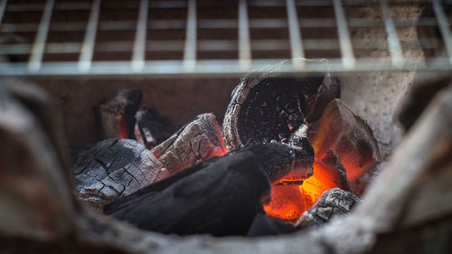 Close-up of bonfire on wooden log