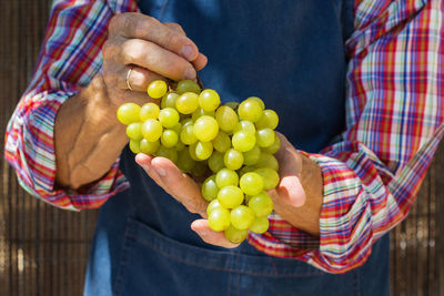 Midsection of man holding fruits