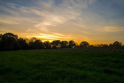 Scenic view of grassy field against sky at sunset