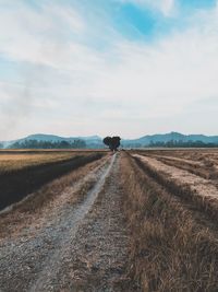 Road amidst field against sky