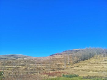 Scenic view of landscape against clear blue sky