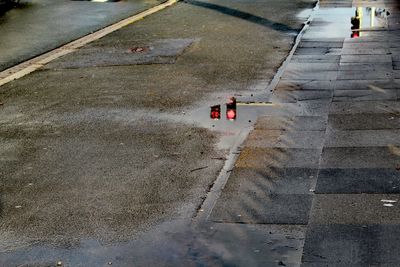 High angle view of road signal reflecting on street puddle