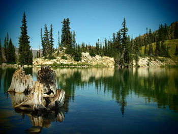 Scenic view of lake in forest against sky