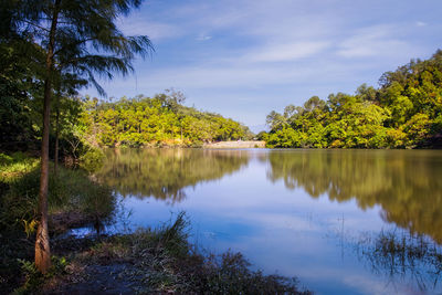 Scenic view of lake by trees against sky