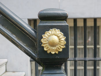 Close-up of white flower on railing