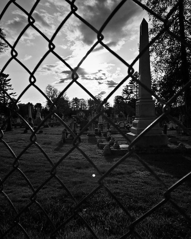 chainlink fence, fence, protection, metal, safety, security, sky, metallic, tree, pattern, railing, no people, outdoors, transportation, sunset, cloud - sky, sunlight, day, focus on foreground, gate