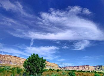 Scenic view of landscape against blue sky