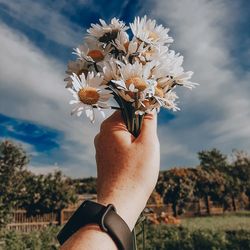 Low section of person holding flowering plant against sky