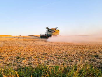 Harvesting combine working on the field of wheat at sunset time, modern agricultural transport. 